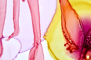 Alkol Mürekkebi Çizimi. Sanat Yıkama Etkisi. Pastel 