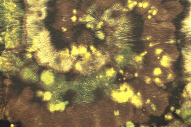 Dairesel Çoklu Tarz. Batik Doku. Suluboya 