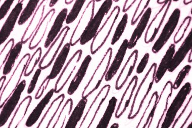 Çağdaş Sanat. Gül çiziği dokusu. Pembe. 