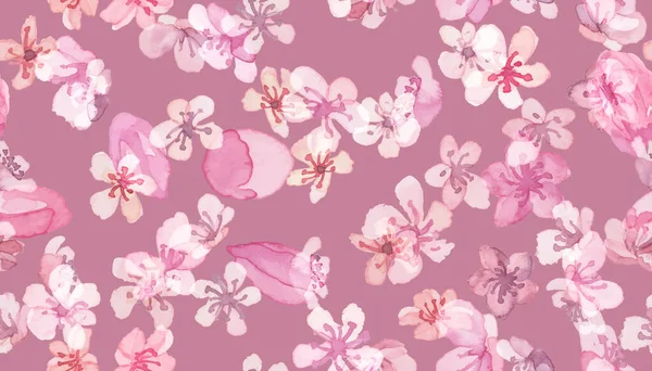 Flor Sakura. Rosa Sem Costura Repita. Pastel — Fotografia de Stock