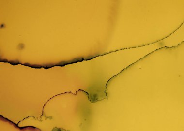 Siyah ve Sarı Soyut Akrilik Doku. Kaya 