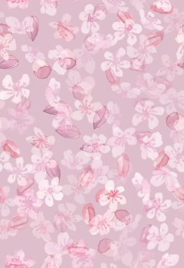 Pastel Sakura Çiçeği. Suluboya Kiraz Çiçeği. 
