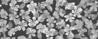 Yumuşak Sakura Arkaplanı. Vektör Kiraz Ağacı. 