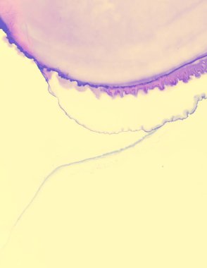 Düğün kartı tasarımı. Sarı Pastel Sıvı Sıvı. 