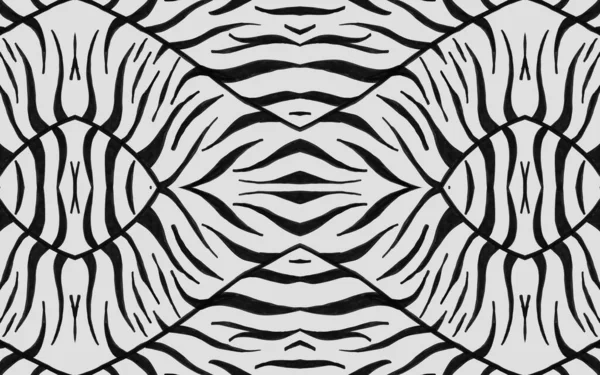 Seamless Zebra Lines. Abstract Safari Banner. — Stock Photo, Image