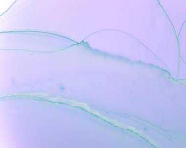 Ruhsal Boya Dokuları. Alkol Mürekkebi Dalgası 