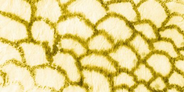 Suluboya Sıçrayan Sürüngen Deseni. 