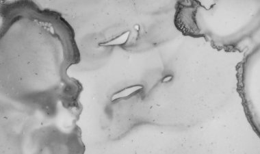 Gri Mermer Doku. Soyut Duvar Kağıdı. 