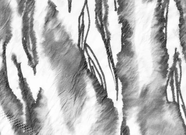 Aquarel Dierlijke Zebrastrepen. — Stockfoto