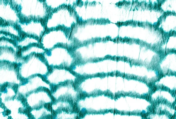 코브라 수채 색 무늬. — 스톡 사진