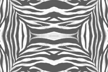 Kusursuz Zebra Hatları. Soyut Hayvan Tasarımı. 