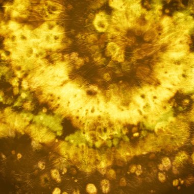 Boya sarmalı arka plan. Sarı Batik Gömlek. 