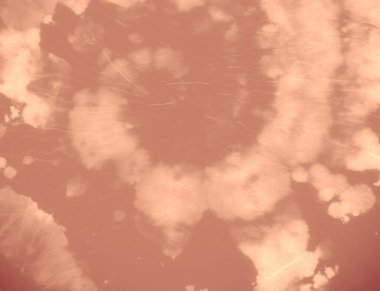 Boya dokusu. Soyut Çember Tasarımı. Pastel Rengi