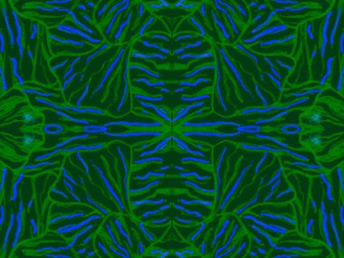 Kusursuz Etnik Düzen. Moda Egzotik Deri