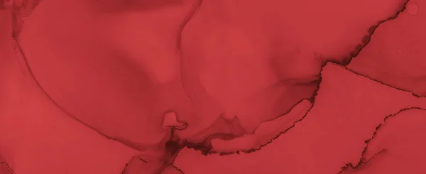 Sıvı Kan Arkaplanı. Rose Ink Banner. Korkunç.