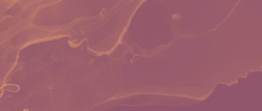 Mürekkep Altın desenli. Kahverengi Lüks Sıvı. Kırmızı Sanat