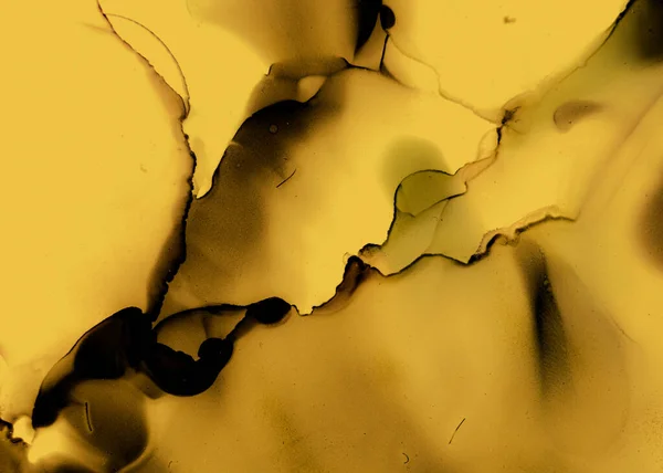 Black and Yellow Abstract Acrylic Texture. Gray