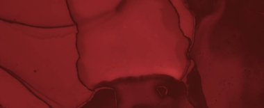 Sıvı Kan Arkaplanı. Gül Mürekkebi Duvar Kağıdı.