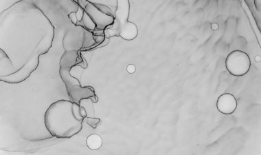 Gri Mermer Doku. Lüks Duvar Kağıdı. Suluboya