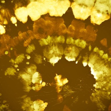 Boya sarmalı arka plan. Altın Batik Gömlek. Kaya