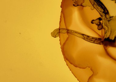 Siyah ve Sarı Soyut Akrilik Arkaplan. Kaya