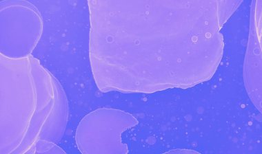 Grafik Sıvı Şablonu. Mavi Çağdaş Dijital