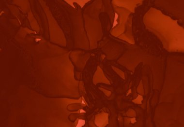 Kan Sıçrayan Siyah. Özet Valentine