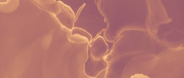 Mürekkep Altın Şablon. Kırmızı volkanik boya. Turuncu