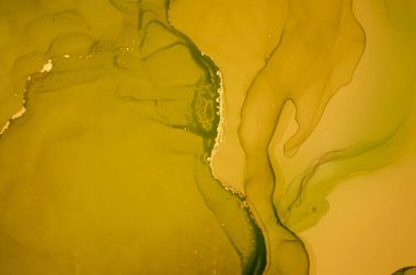 Altın Sıvı Sanat. Soyut Sıvı Duvar Kağıdı.