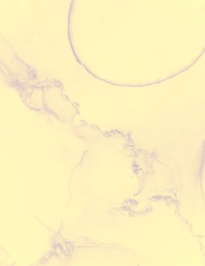 Düğün kartı şablonu. Sarı Pastel Fış Fış.