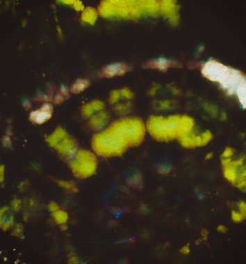 Suluboya mürekkep deseni. Psikedelik Kravat Boyası.