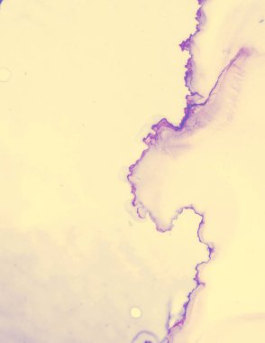 Düğün kartı şablonu. Sarı Pastel Akış Suyu.