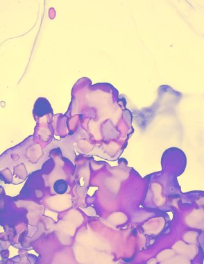 Düğün Davetiyesi Tasarımı. Pembe Pastel Akış Sıvısı. Çağdaş Renk Duvar Kağıdı. Soyut Alkol Mürekkebi Mermeri Lekeler. Düğün Davet Şablonu. Sarı Pastel Flow Fplash. Sarı Düğün Kartı Şablonu.