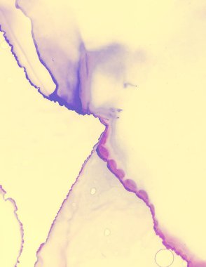 Düğün Davet Şablonu. Sarı Pastel Sıvı