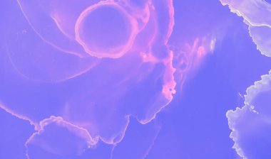 Grafiksel Akış Arkaplanı. Pembe Suluboya Asgari