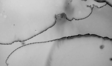 Gri Mermer Doku. Doğal Mimarlık.