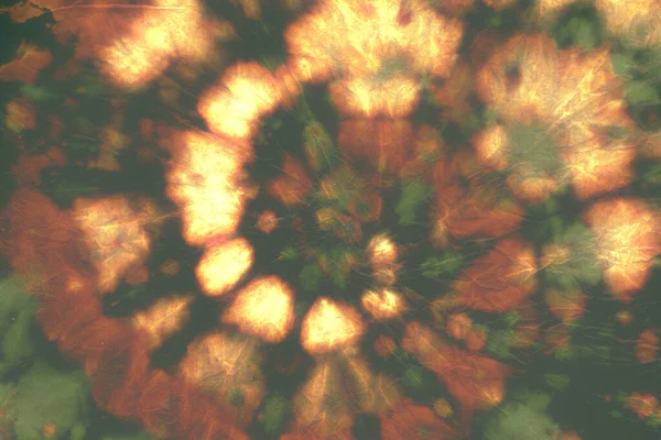 Efeito Circular da Água. Batik Pattern. Aquarela — Fotografia de Stock