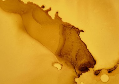 Siyah ve Sarı Soyut Akrilik Desen. Koyu