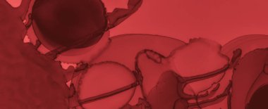 Sıvı Kan Arkaplanı. Gül Akıcı Sancak.