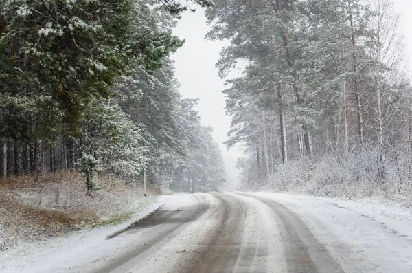 Ormandaki karlı yol
