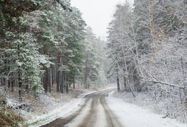 Snowy Road Forest — Stock Photo, Image