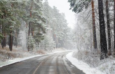 Ormandaki karlı yol