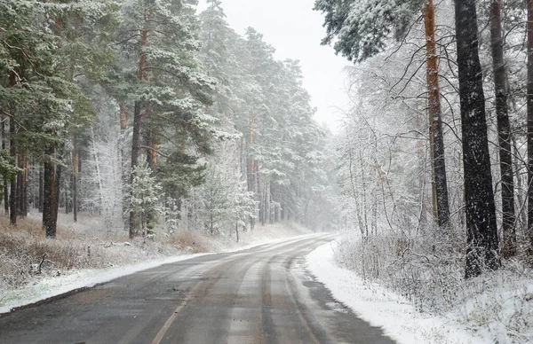 Camino Nevado Bosque — Foto de Stock