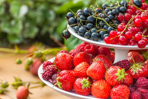 Servis tabağında yeni toplanmış meyveler..