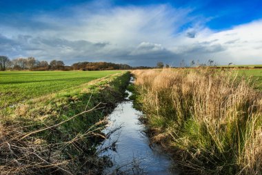 Su dolu bir hendeğin merkez perspektifi.