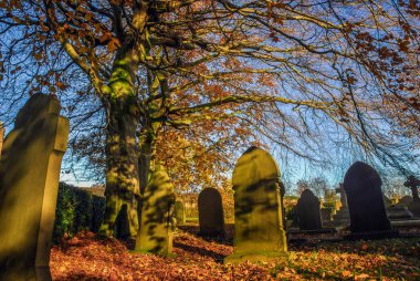 Sonbahar günışığında mezarlık