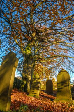 Sonbahar günışığında mezarlık