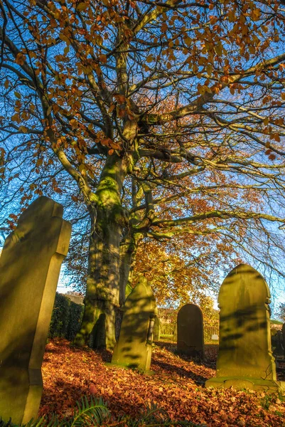 Sonbahar günışığında mezarlık