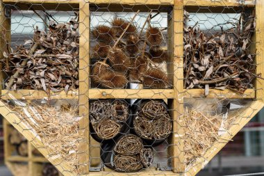 Arı ve böcek evi bir şehirde ağaçtan ve doğal malzemelerden yapılmıştır..