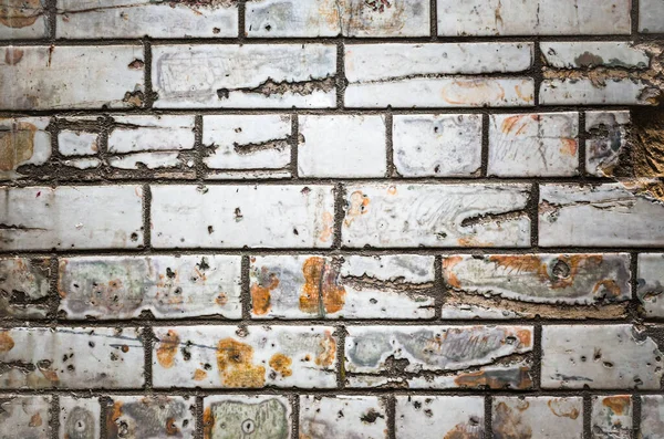 Eski cam kaplı Viktorya dönemi beyaz tuğlaları damange ve giyim gösteriyor.